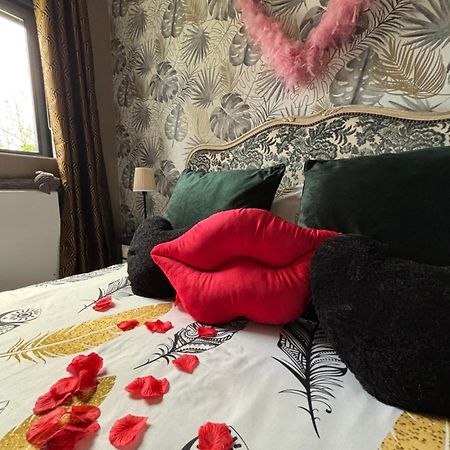 Romantisme Et Glamour Avec Spa ,Jardin Proche Zenith Дижон Екстериор снимка